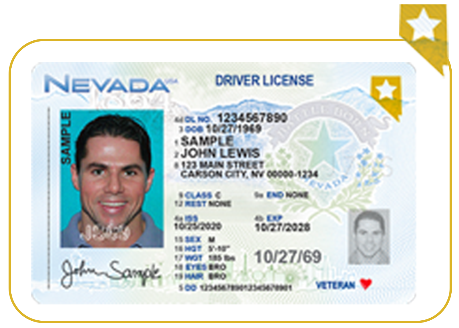 Correct Driver License