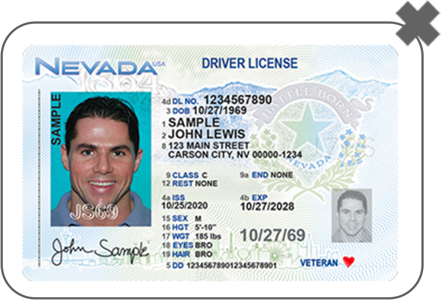 Old Driver License